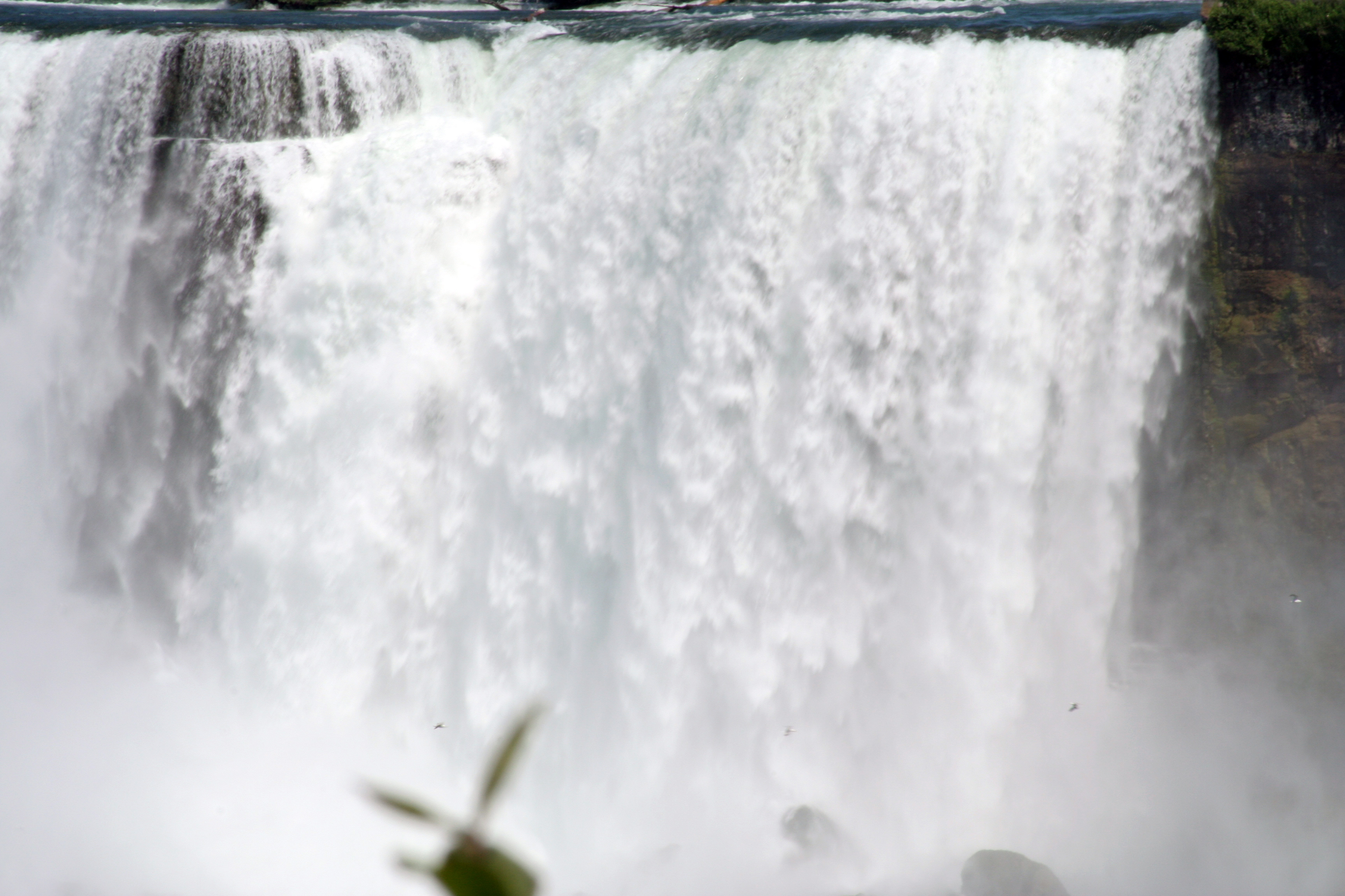 Guler Fall Page Title